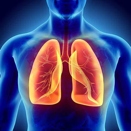 Respiratory Assessments Through Speech Analysis