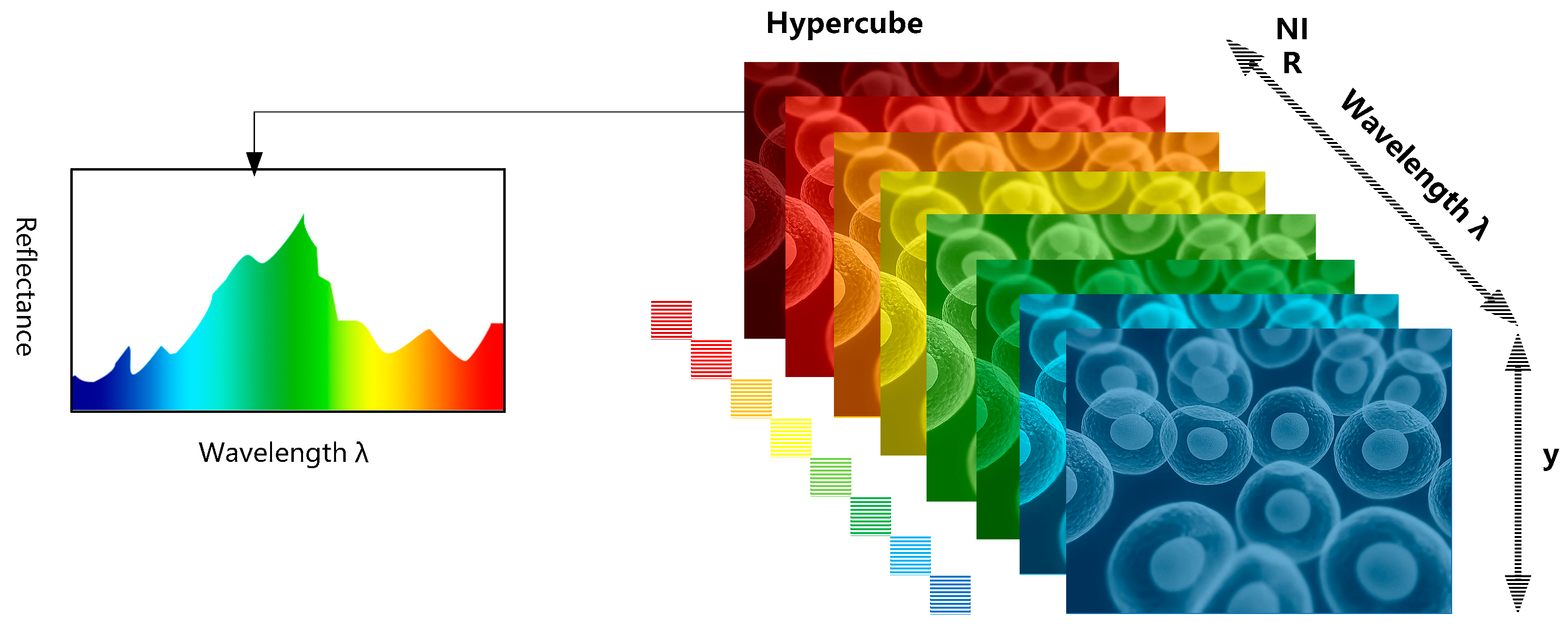 Hyperspectral Imaging with Smartphones